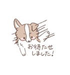 ボーダーコリーのゆる敬語スタンプ（個別スタンプ：37）