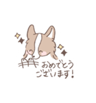 ボーダーコリーのゆる敬語スタンプ（個別スタンプ：38）