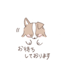 ボーダーコリーのゆる敬語スタンプ（個別スタンプ：40）