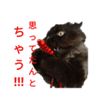 ほぼペルシャ猫(黒)（個別スタンプ：12）
