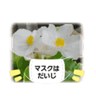 お花で遊ぼう12（個別スタンプ：2）