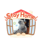 うちのかわいいピノちゃん（個別スタンプ：9）