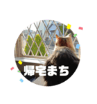 ぽじはぴな毎日Part2（個別スタンプ：6）