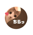 ぽじはぴな毎日Part2（個別スタンプ：14）