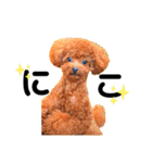 むぎちゃ＆ごまちゃpart1（個別スタンプ：14）