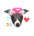 ゆかいな仲間たち♫（個別スタンプ：1）