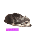 ゆかいな仲間たち♫（個別スタンプ：2）