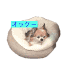 ゆかいな仲間たち♫（個別スタンプ：3）