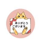 たまゆらにゃんずスタンプ①（個別スタンプ：5）