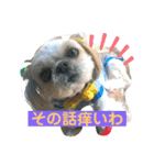 元気はつらつ！ワンコロもふもふ！（個別スタンプ：5）