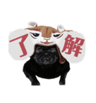 bob-furi-gan-mu（個別スタンプ：6）