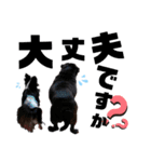 bob-furi-gan-mu（個別スタンプ：8）