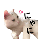 みいいちやん（個別スタンプ：5）