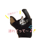 我が家の優ちゃん♡（個別スタンプ：4）