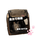 我が家の優ちゃん♡（個別スタンプ：6）