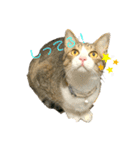 ☆ニコミー日記2☆（個別スタンプ：3）