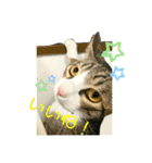 ☆ニコミー日記2☆（個別スタンプ：7）