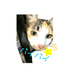 ☆ニコミー日記2☆（個別スタンプ：8）