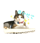 ☆ニコミー日記2☆（個別スタンプ：9）