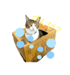 ☆ニコミー日記2☆（個別スタンプ：10）