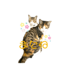 ☆ニコミー日記2☆（個別スタンプ：11）
