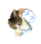 ☆ニコミー日記2☆（個別スタンプ：13）