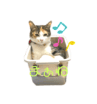 ☆ニコミー日記2☆（個別スタンプ：14）