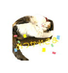 ☆ニコミー日記2☆（個別スタンプ：17）
