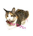 ☆ニコミー日記2☆（個別スタンプ：18）