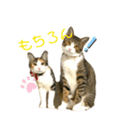 ☆ニコミー日記2☆（個別スタンプ：21）