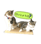 ☆ニコミー日記2☆（個別スタンプ：23）