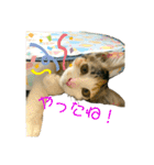 ☆ニコミー日記2☆（個別スタンプ：24）