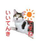 mm_20200523081702（個別スタンプ：7）