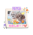 うちのワンニャンパラダイス♪（個別スタンプ：3）