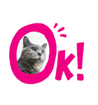 我が家のルナちゃん（個別スタンプ：6）