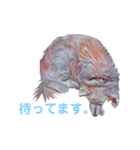 白い雑種犬ケープさん（個別スタンプ：6）