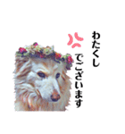 白い雑種犬ケープさん（個別スタンプ：16）