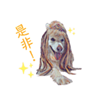 白い雑種犬ケープさん（個別スタンプ：18）