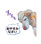 白い雑種犬ケープさん（個別スタンプ：23）