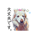 白い雑種犬ケープさん（個別スタンプ：29）