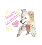 白い雑種犬ケープさん（個別スタンプ：36）