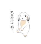 垂れ耳ウサギの日常（個別スタンプ：2）