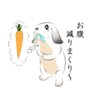 垂れ耳ウサギの日常（個別スタンプ：5）