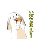 垂れ耳ウサギの日常（個別スタンプ：6）