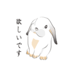 垂れ耳ウサギの日常（個別スタンプ：18）