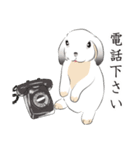 垂れ耳ウサギの日常（個別スタンプ：19）