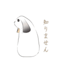 垂れ耳ウサギの日常（個別スタンプ：20）