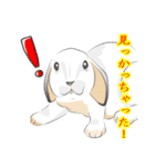 垂れ耳ウサギの日常（個別スタンプ：22）