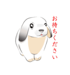 垂れ耳ウサギの日常（個別スタンプ：23）