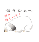 垂れ耳ウサギの日常（個別スタンプ：24）